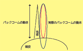 バックコーム @Moto with 長永会｜アップスタイル検定講習会